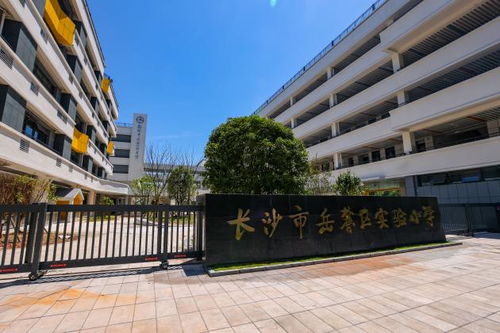 梅溪湖教育再升級(jí) 新增3600個(gè)學(xué)位,兩所優(yōu)質(zhì)學(xué)府?dāng)y手共繪教育新藍(lán)圖