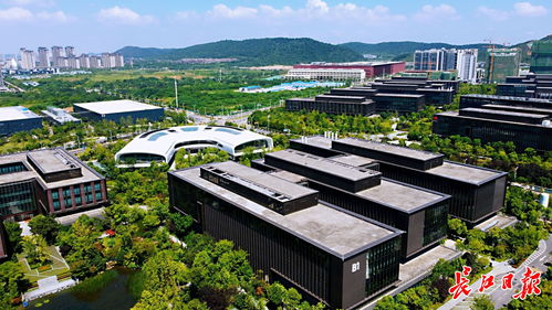 武漢力爭(zhēng)建成1 2家全球燈塔工廠,加快形成未來(lái)工廠梯隊(duì)