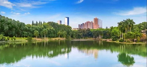 中國最美 海邊 大學(xué),你pick哪一所